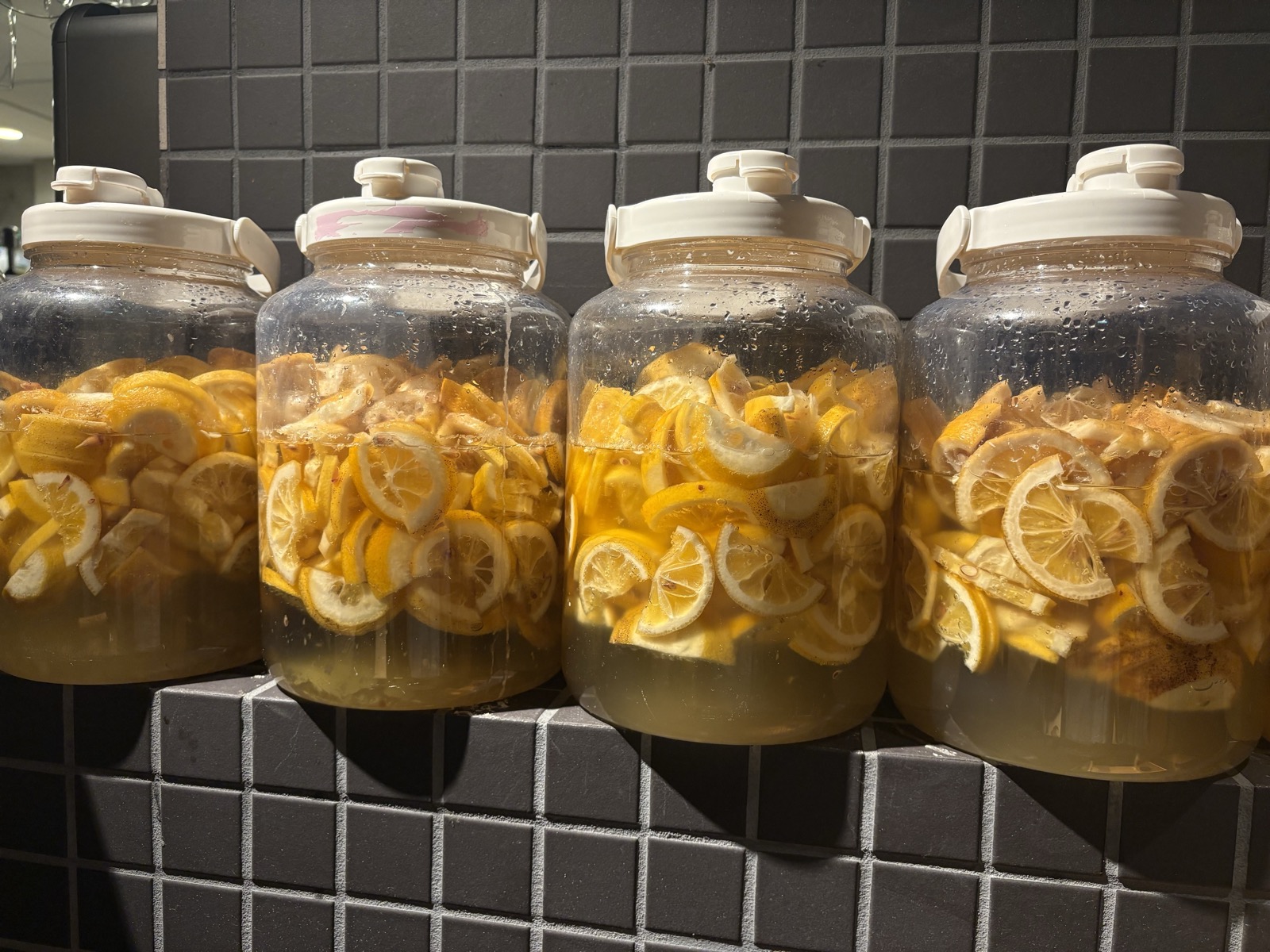 手作りで発酵・熟成中のレモン